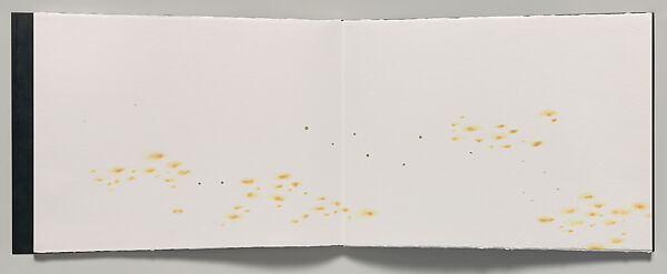 Varsha, Ranjani Shettar (Indian, born Bangalore, 1977), Artist's book