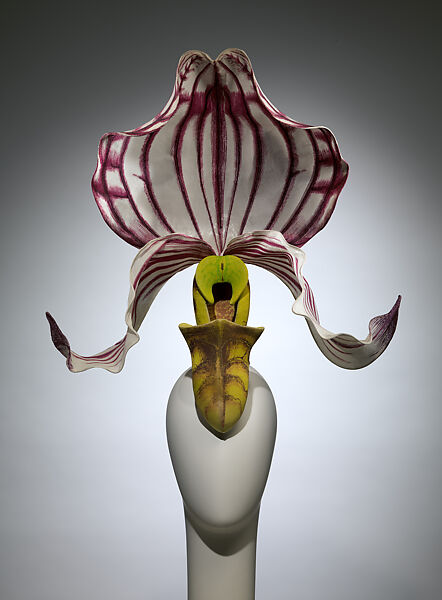 "Paphiopedilum Philippinense Orchid", Philip Treacy (British, born Ireland, 1966), silk, synthetic, straw, metal, British 