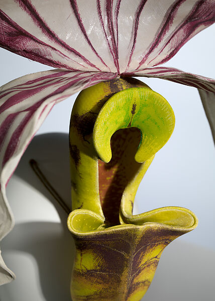 "Paphiopedilum Philippinense Orchid", Philip Treacy (Irish, born 1966), silk, synthetic, straw, metal, British