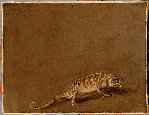 Study of a Chameleon, Pieter Boel (1622–1674), Oil on canvas 