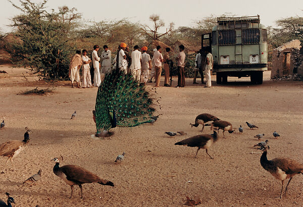 A Village Bus Stop, Barmer, Rajasthan, Raghubir Singh (Indian, 1942–1999), Chromogenic print 