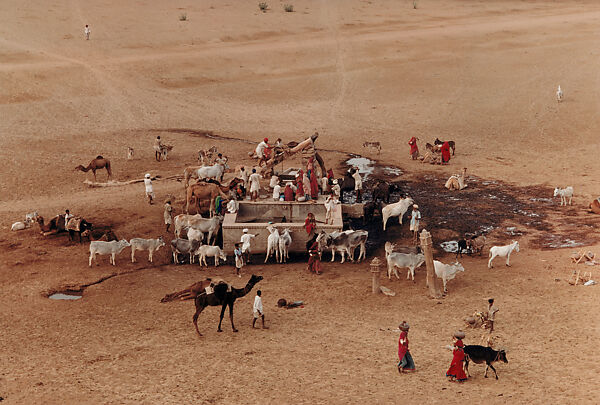 Village Well, Barnawa, Rajasthan, Raghubir Singh (Indian, 1942–1999), Chromogenic print 