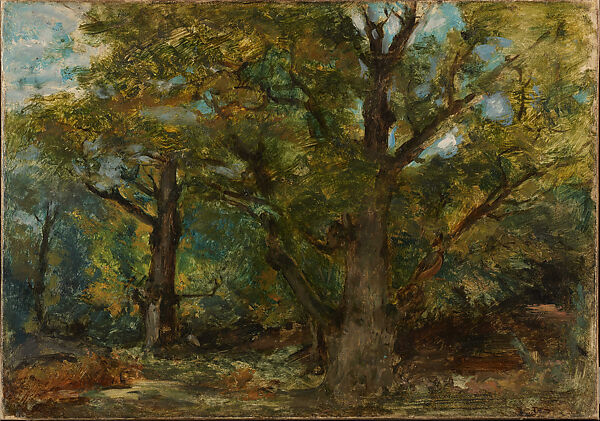 View in the Forest of Sénart, Eugène Delacroix (French, Charenton-Saint-Maurice 1798–1863 Paris), Oil on canvas 