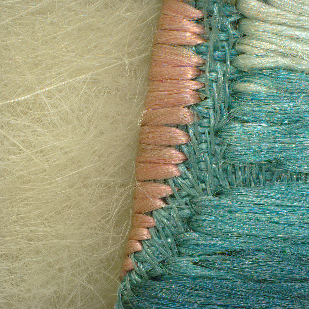 Woman's Ceremonial Robe, Silk, cat fur, China