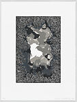 The Floral Ghost, Susan Orlean (American, born Cleveland, Ohio, 1955), Portfolio of six original signed and numbered prints with accompanying essay by Susan Orlean. Photogravure (Gill), digital screenprint with letterpress (Meisenberg), linoleum and woodcut (Santibañez), screenprint and oil pigment (Taaffe), photogram and 5-color screenprint (Tomaselli), engraving (Würth), and letterpress (Orlean)
