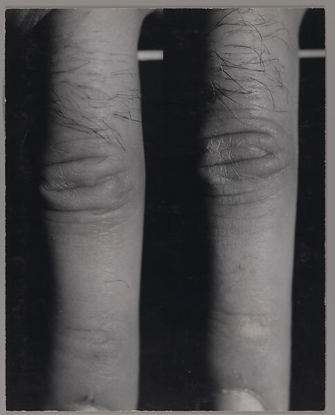 Index, William Wegman (American, born 1943), Gelatin silver prints