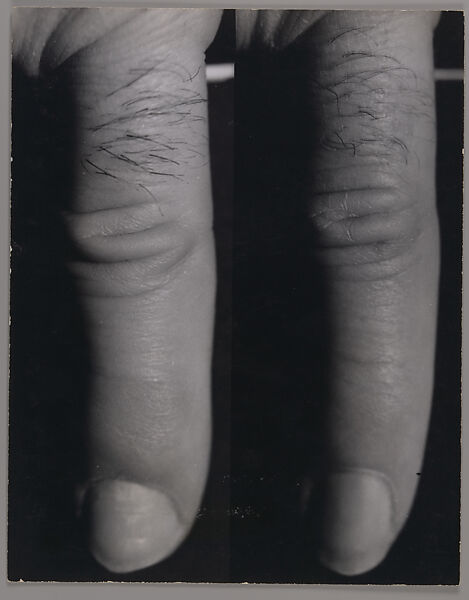 Index, William Wegman (American, born 1943), Gelatin silver prints