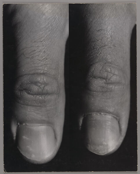 Index, William Wegman (American, born 1943), Gelatin silver prints