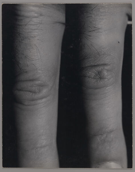 Index, William Wegman (American, born 1943), Gelatin silver prints