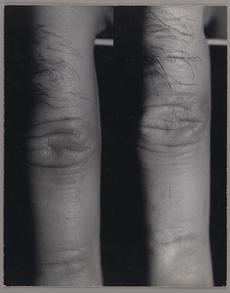 Index, William Wegman (American, born 1943), Gelatin silver prints