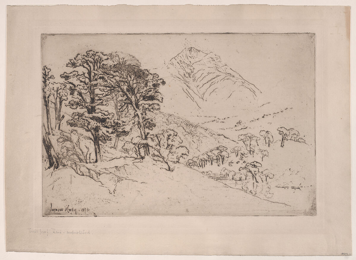 Scotch Firs, Inveroran, Sir Francis Seymour Haden (British, London 1818–1910 Bramdean, Hampshire), Etching printed in blackish brown ink; Harrington's trial proof a; Schneiderman's first state of three 