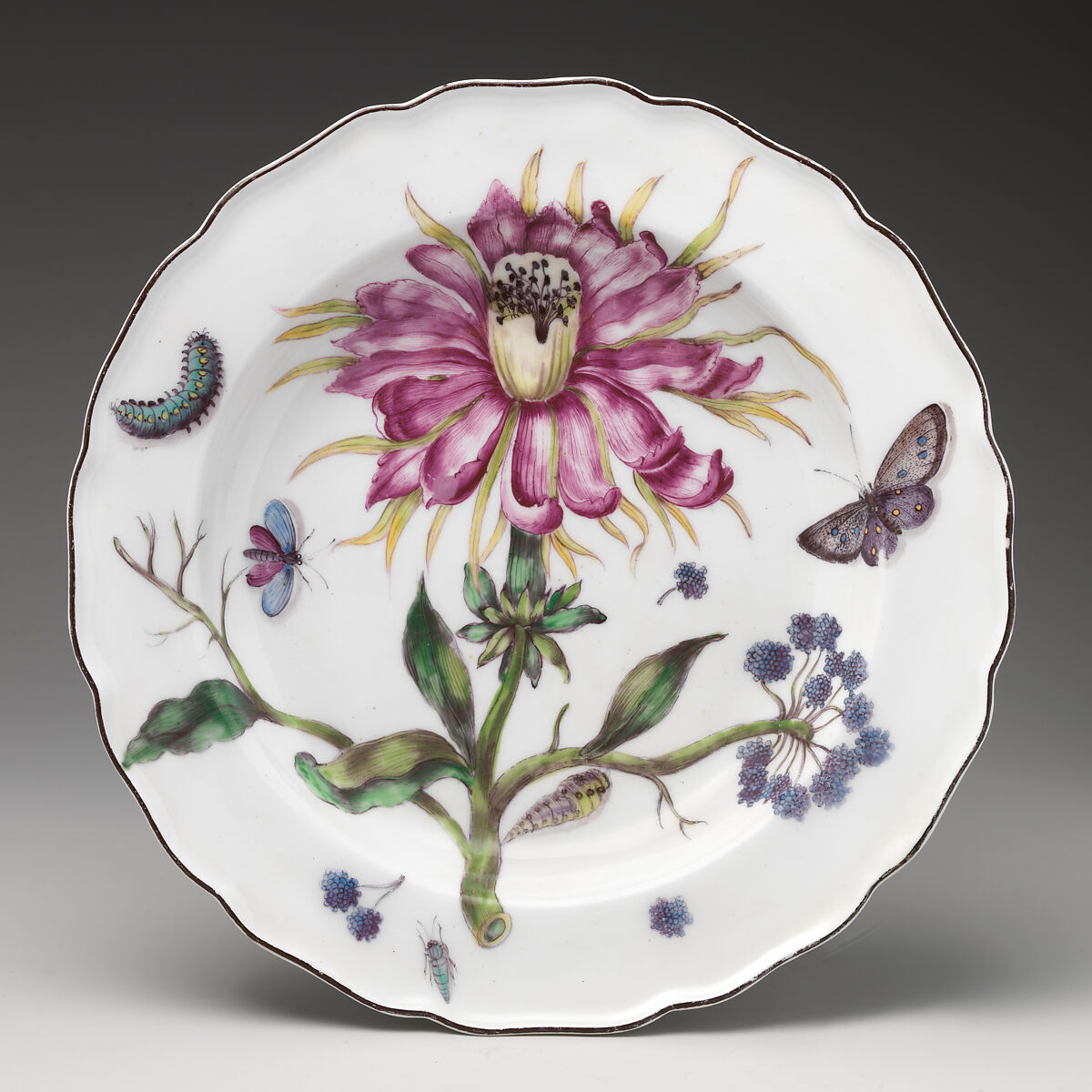 Chelsea Porcelain Manufactory | Botanical plate with thistle