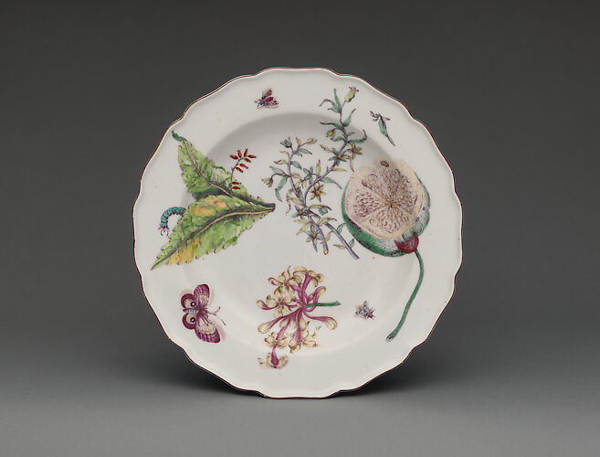 Botanical plate with honeysuckle spray