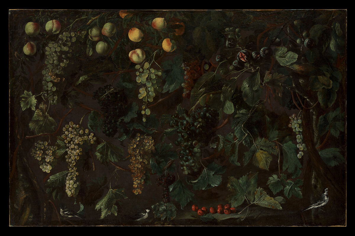 Grape Vines and Fruit, with Three Wagtails, Bartolomeo Cavarozzi (Italian, Viterbo 1587–1625 Rome), Oil on canvas 