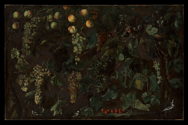 Grape Vines and Fruit, with Three Wagtails