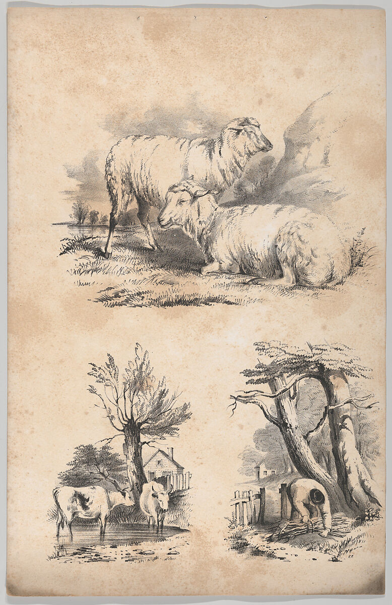 Vignette with two sheep, Vignette with two cows in a pool, and Vignette of a wood-gatherer, in: The New York Drawing Book, Containing a Series of Original Designs and Sketches of American Scenery, No. 2, Frances Flora Bond Palmer (American (born England), Leicester 1812–1876 New York), Lithograph 