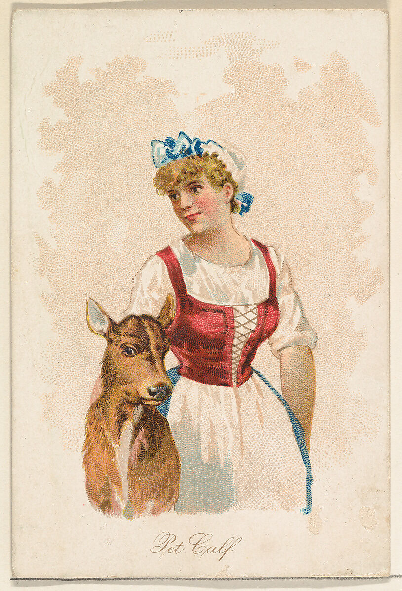 Pet Calf, from the Household Pets series (N194) issued by Wm. S. Kimball & Co., Issued by William S. Kimball &amp; Company, Commercial color lithograph 