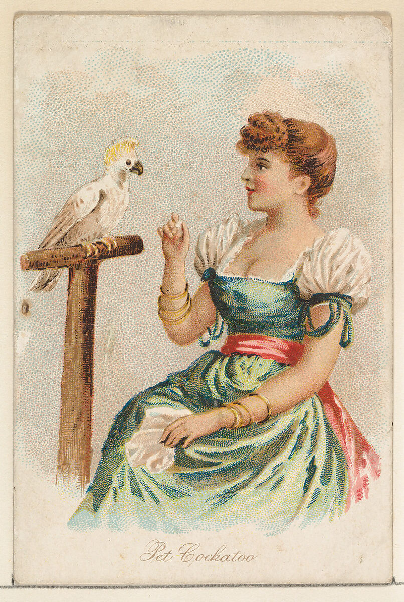 Pet Cockatoo, from the Household Pets series (N194) issued by Wm. S. Kimball & Co., Issued by William S. Kimball &amp; Company, Commercial color lithograph 