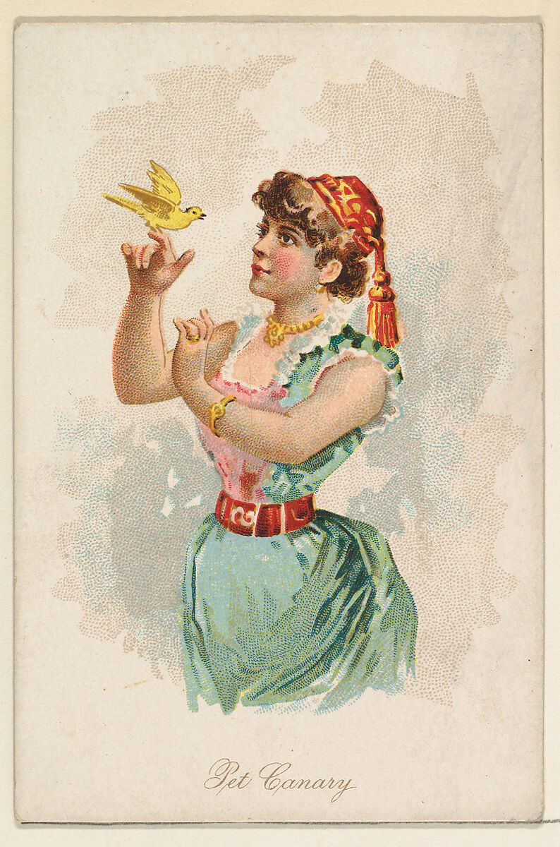 Pet Canary, from the Household Pets series (N194) issued by Wm. S. Kimball & Co., Issued by William S. Kimball &amp; Company, Commercial color lithograph 