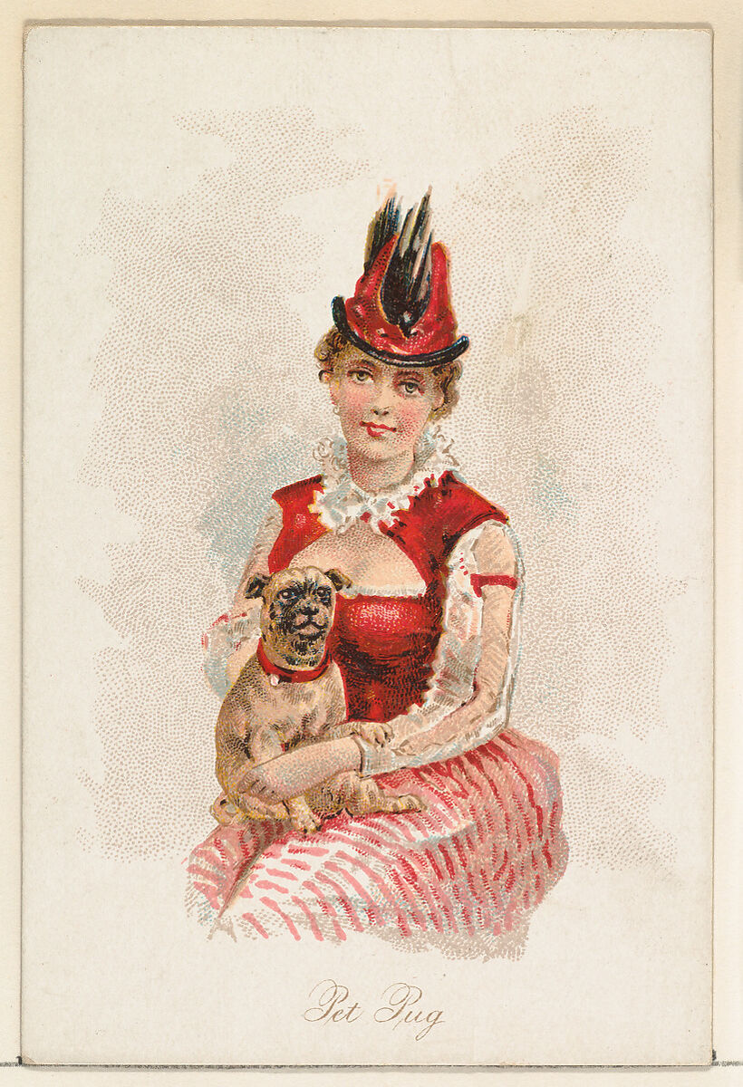 Pet Pug, from the Household Pets series (N194) issued by Wm. S. Kimball & Co., Issued by William S. Kimball &amp; Company, Commercial color lithograph 