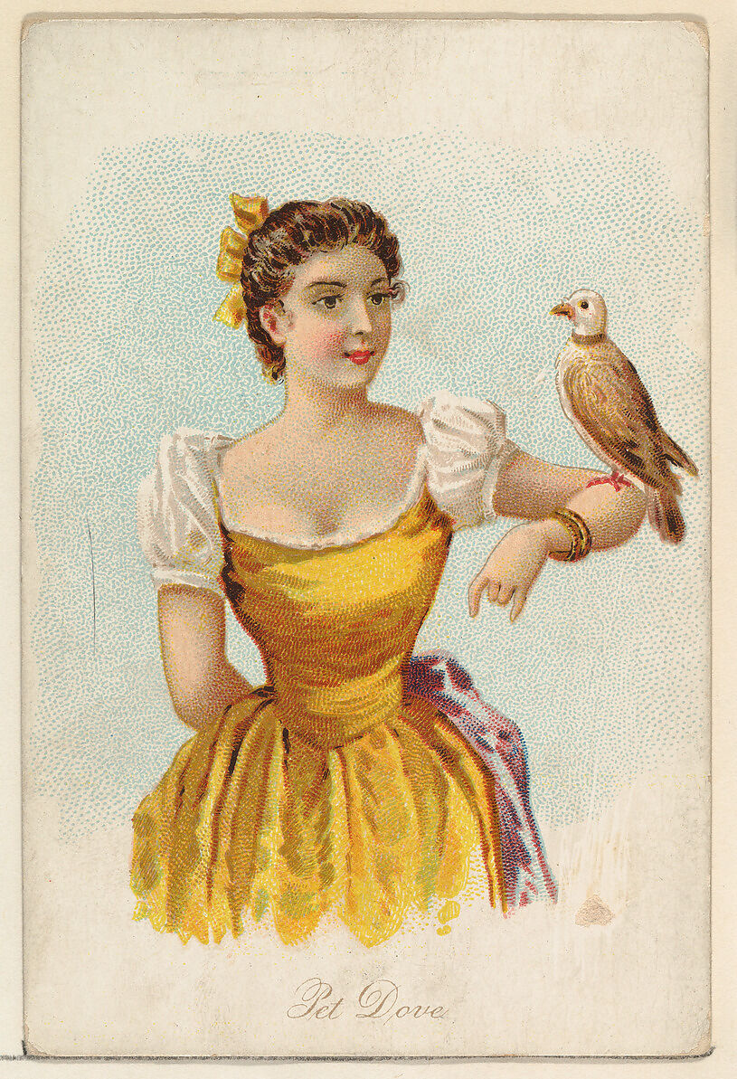 Pet Dove, from the Household Pets series (N194) issued by Wm. S. Kimball & Co., Issued by William S. Kimball &amp; Company, Commercial color lithograph 
