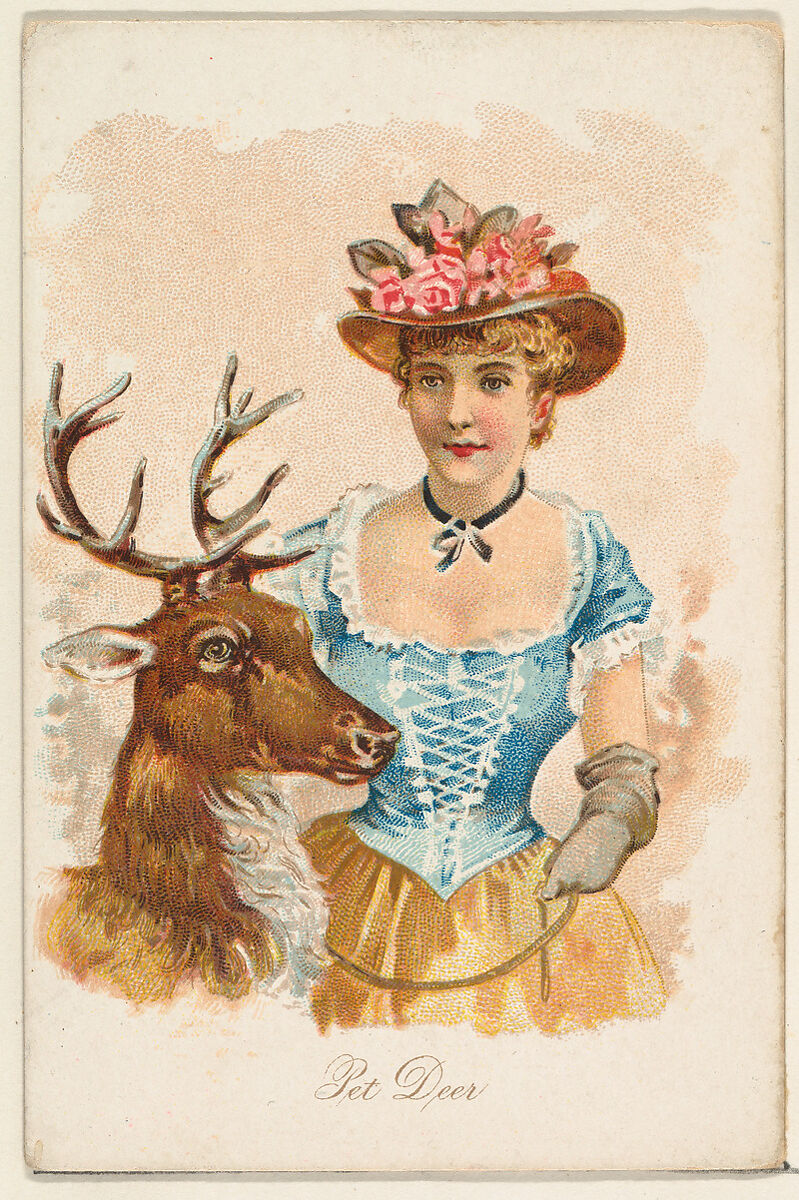 Pet Deer, from the Household Pets series (N194) issued by Wm. S. Kimball & Co., Issued by William S. Kimball &amp; Company, Commercial color lithograph 