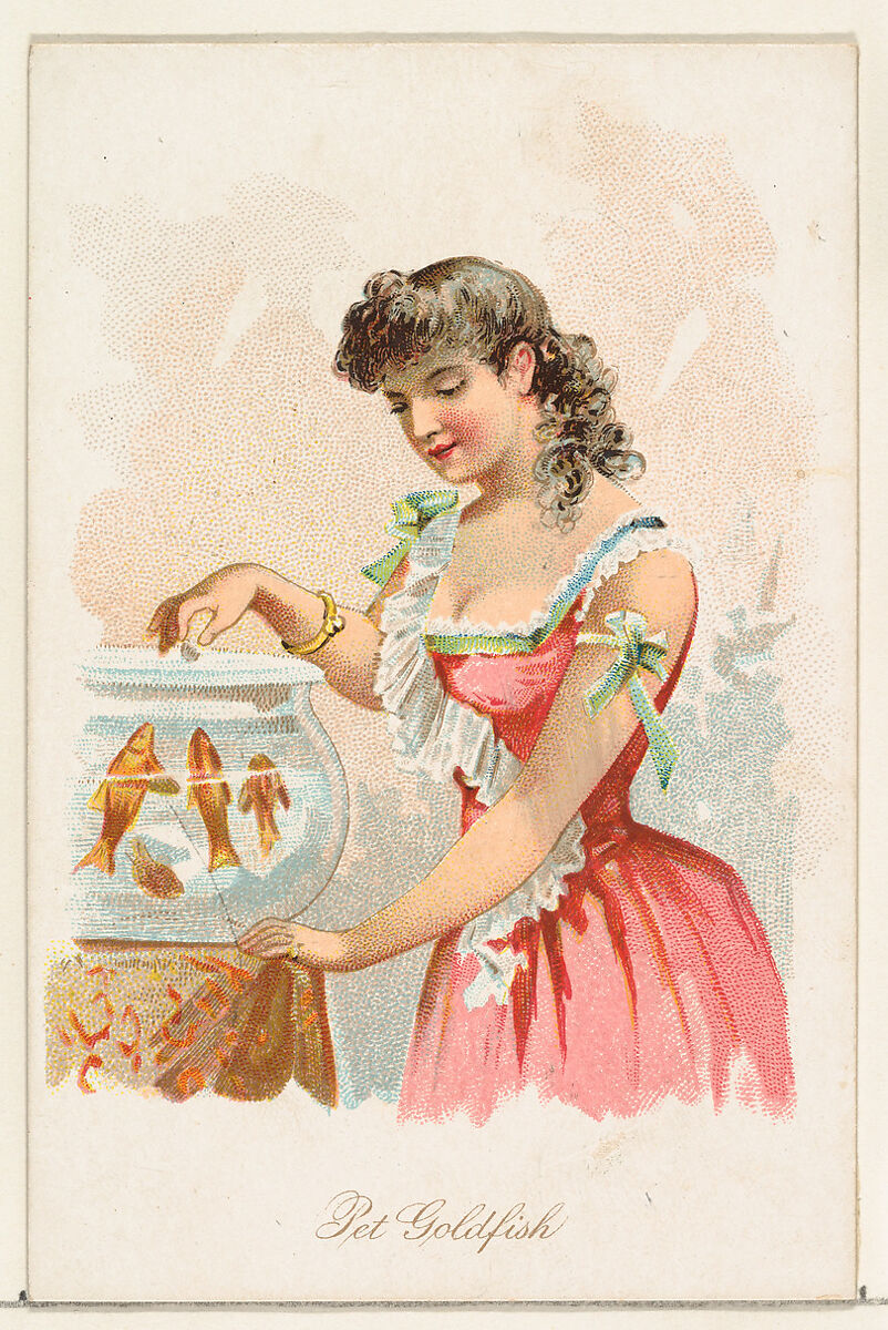Pet Goldfish, from the Household Pets series (N194) issued by Wm. S. Kimball & Co., Issued by William S. Kimball &amp; Company, Commercial color lithograph 