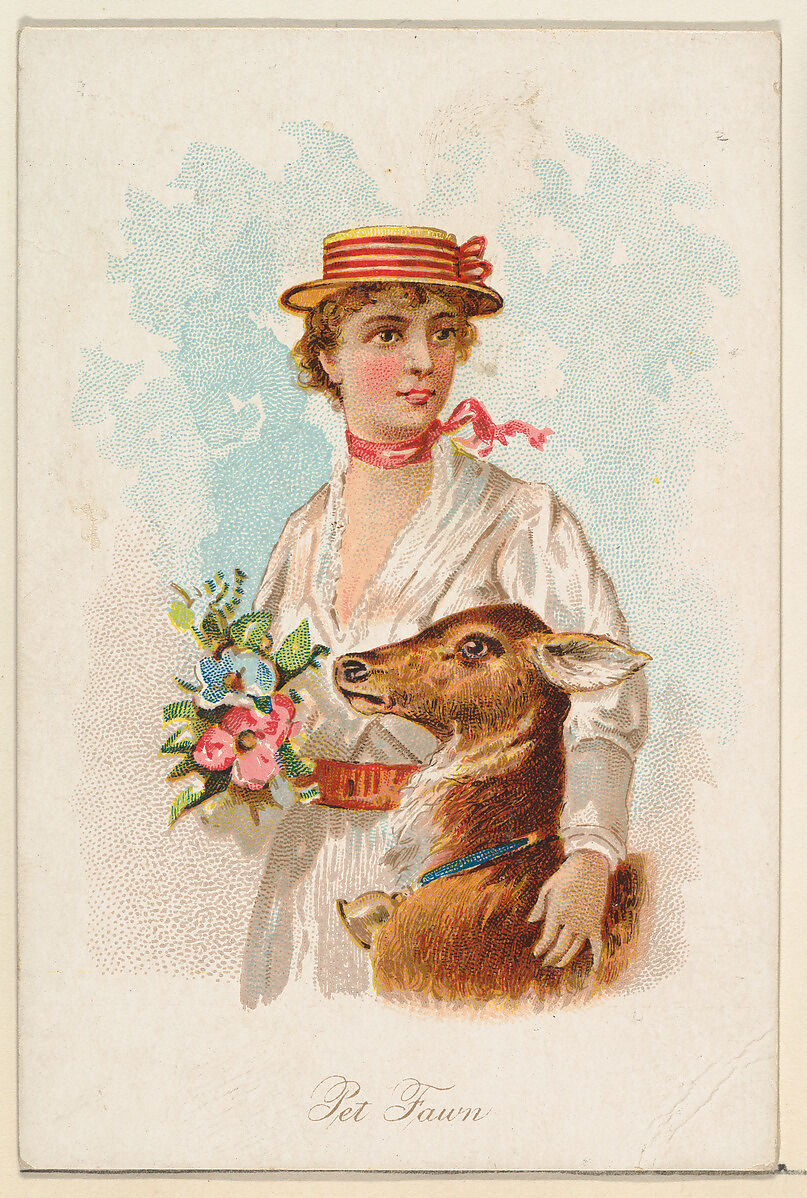 Pet Fawn, from the Household Pets series (N194) issued by Wm. S. Kimball & Co., Issued by William S. Kimball &amp; Company, Commercial color lithograph 
