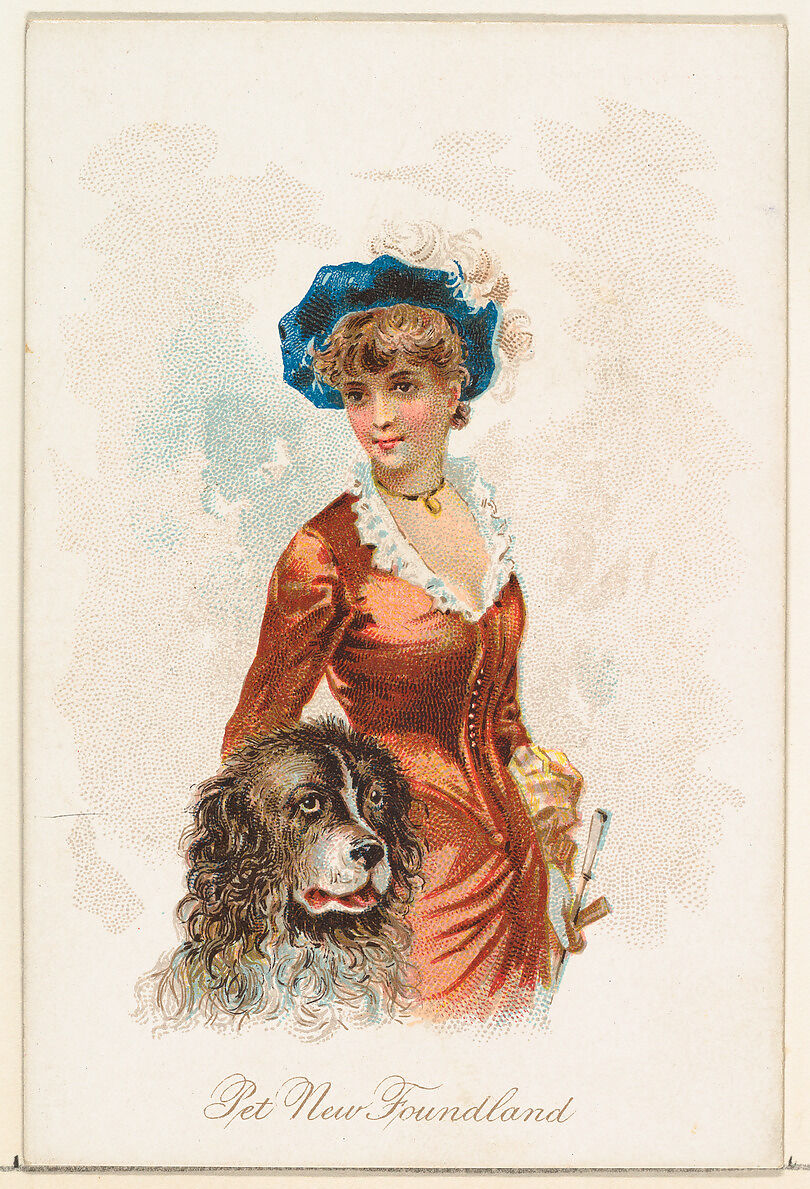 Pet Newfoundland, from the Household Pets series (N194) issued by Wm. S. Kimball & Co., Issued by William S. Kimball &amp; Company, Commercial color lithograph 