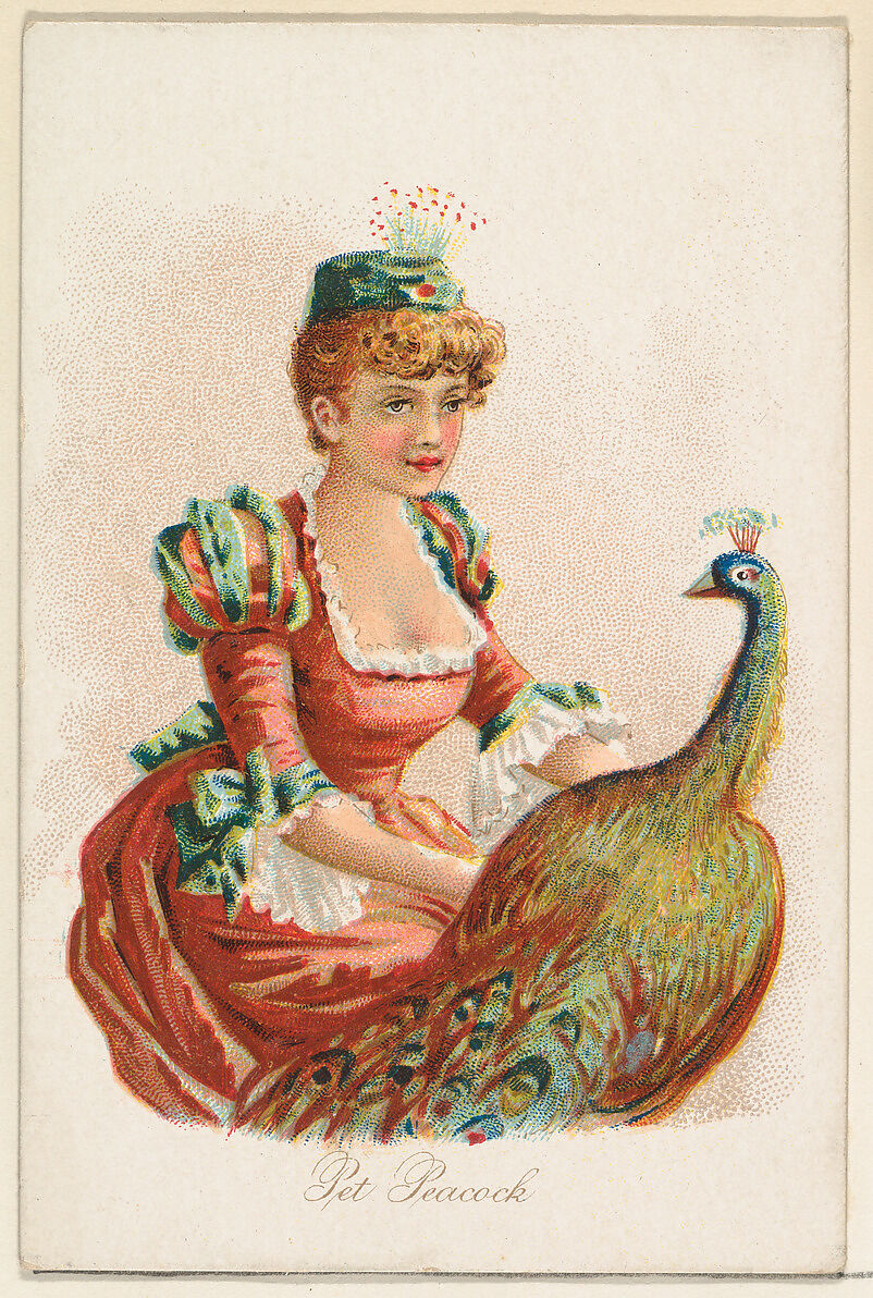 Pet Peacock, from the Household Pets series (N194) issued by Wm. S. Kimball & Co., Issued by William S. Kimball &amp; Company, Commercial color lithograph 