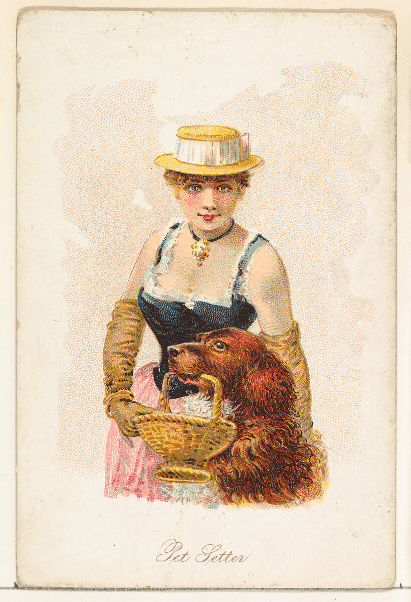 Pet Setter, from the Household Pets series (N194) issued by Wm. S. Kimball & Co., Issued by William S. Kimball &amp; Company, Commercial color lithograph 