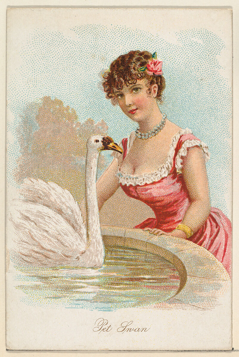 Pet Swan, from the Household Pets series (N194) issued by Wm. S. Kimball & Co., Issued by William S. Kimball &amp; Company, Commercial color lithograph 