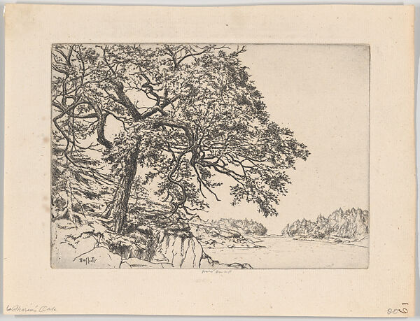 Marin's Oak, Ernest Haskell (American, Woodstock, Connecticut 1876–1925 West Point, Maine), Etching 