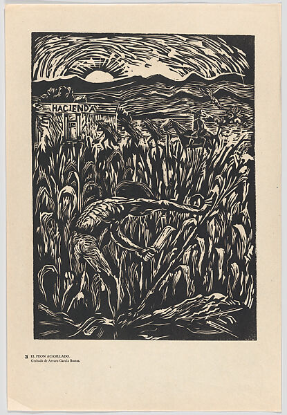 Plate 3: an indentured slave (peon acasillado) cutting maize, from the portfolio 'Estampas de la revolución Mexicana' (prints of the Mexican Revolution), Arturo García Bustos (Mexican, Mexico City 1926–2017), Linocut 