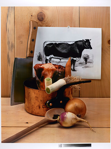 Irving Penn - Beef Still Life, New York - The Metropolitan Museum
