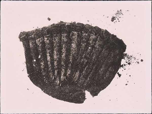 Fluted Cup, New York, Irving Penn (American, Plainfield, New Jersey 1917–2009 New York), Platinum-palladium print 