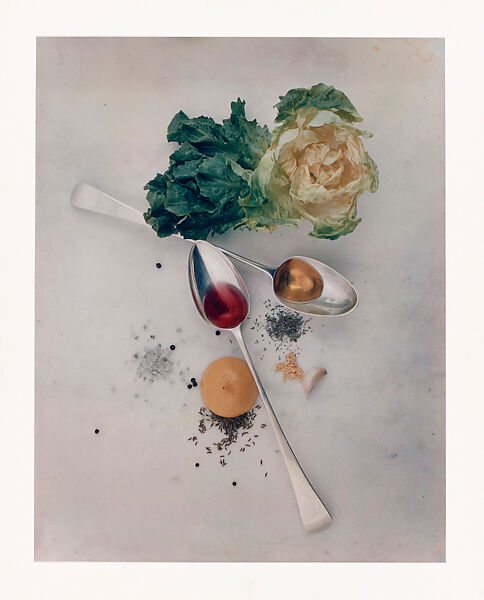 Salad Ingredients, New York, Irving Penn (American, Plainfield, New Jersey 1917–2009 New York), Dye transfer print 