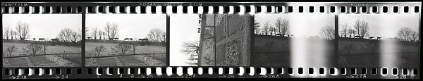 [14 Portraits of a Man Wearing Glasses Sitting at a Desk Surrounded by Framed Maps and Photographs; 5 Views of Cows on a Horizon], Walker Evans (American, St. Louis, Missouri 1903–1975 New Haven, Connecticut), Film negative