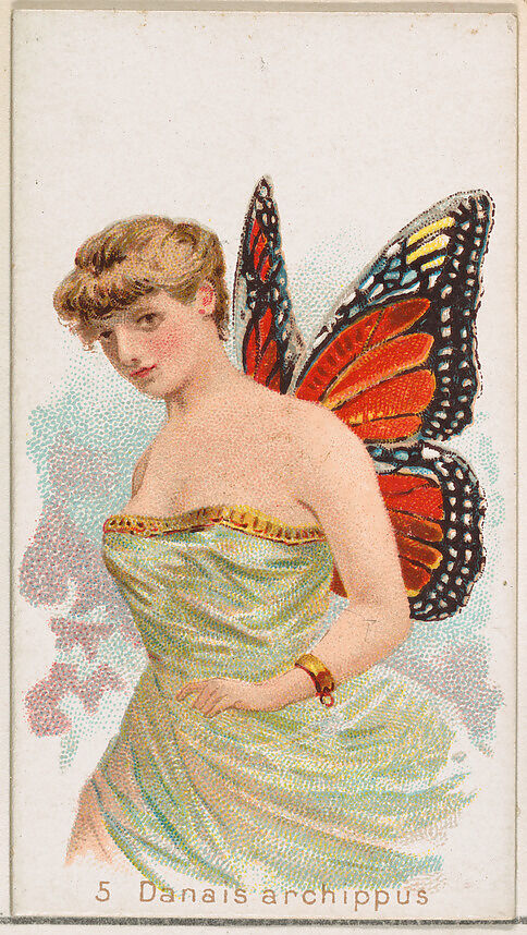 Card 5, Danais Archippus, from the Butterflies series (N183) issued by Wm. S. Kimball & Co., Issued by William S. Kimball &amp; Company, Commercial color lithograph 