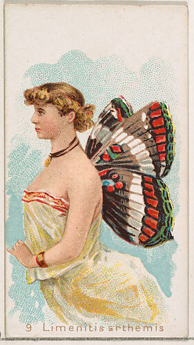 Card 9, Limenitis Arthemis, from the Butterflies series (N183) issued by Wm. S. Kimball & Co.