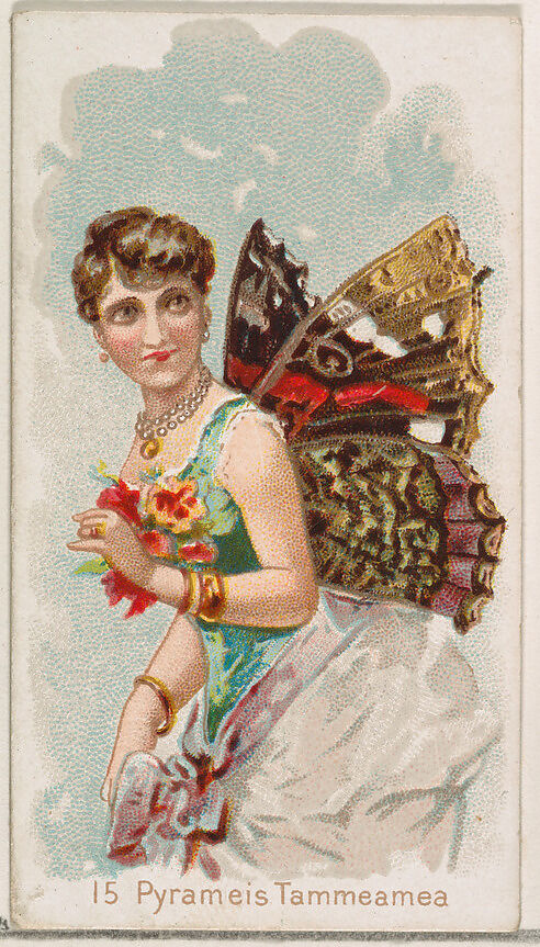 Card 15, Pyrameis Tammeamea, from the Butterflies series (N183) issued by Wm. S. Kimball & Co., Issued by William S. Kimball &amp; Company, Commercial color lithograph 