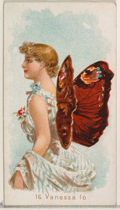 Card 16, Vanessa Io, from the Butterflies series (N183) issued by Wm. S. Kimball & Co., Issued by William S. Kimball &amp; Company, Commercial color lithograph 