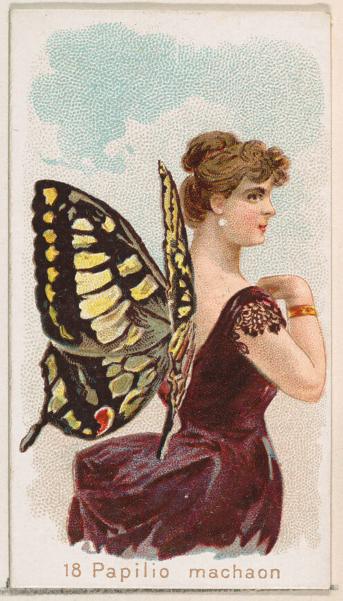 Card 18, Papilio Machaon, from the Butterflies series (N183) issued by Wm. S. Kimball & Co., Issued by William S. Kimball &amp; Company, Commercial color lithograph 