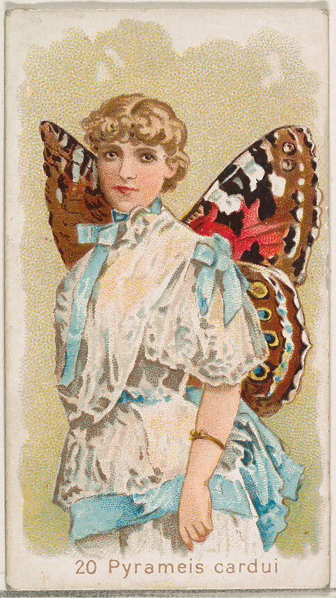 Card 20, Pyrameis Cardui, from the Butterflies series (N183) issued by Wm. S. Kimball & Co., Issued by William S. Kimball &amp; Company, Commercial color lithograph 