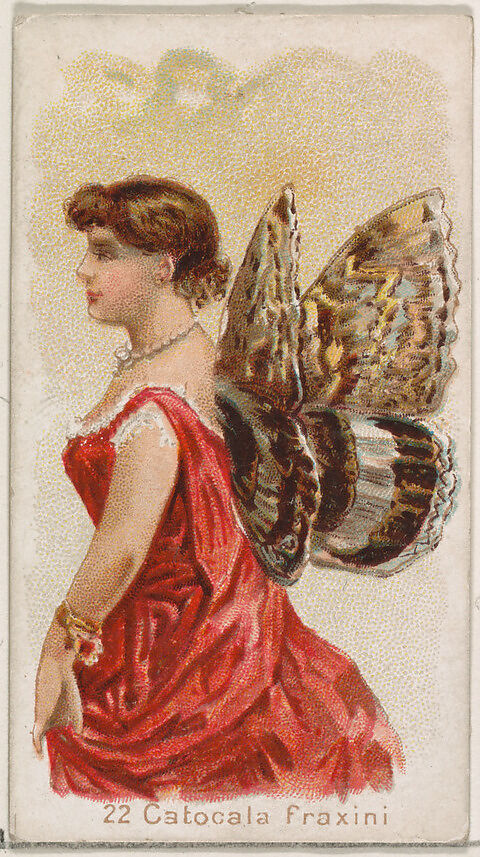 Card 22, Catogala Fraxini, from the Butterflies series (N183) issued by Wm. S. Kimball & Co., Issued by William S. Kimball &amp; Company, Commercial color lithograph 