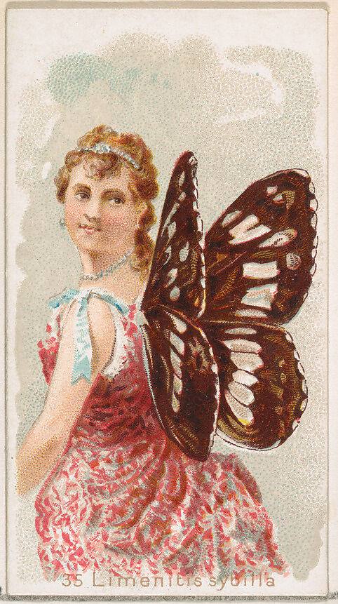 Card 35, Limenitis Sybilla, from the Butterflies series (N183) issued by Wm. S. Kimball & Co., Issued by William S. Kimball &amp; Company, Commercial color lithograph 
