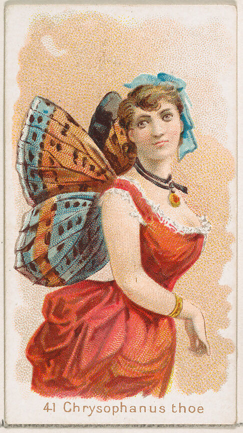 Card 41, Chrysophanus Thoe, from the Butterflies series (N183) issued by Wm. S. Kimball & Co., Issued by William S. Kimball &amp; Company, Commercial color lithograph 