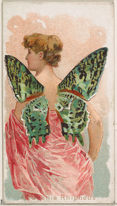 Card 45, Urania Rhipheus, from the Butterflies series (N183) issued by Wm. S. Kimball & Co., Issued by William S. Kimball &amp; Company, Commercial color lithograph 