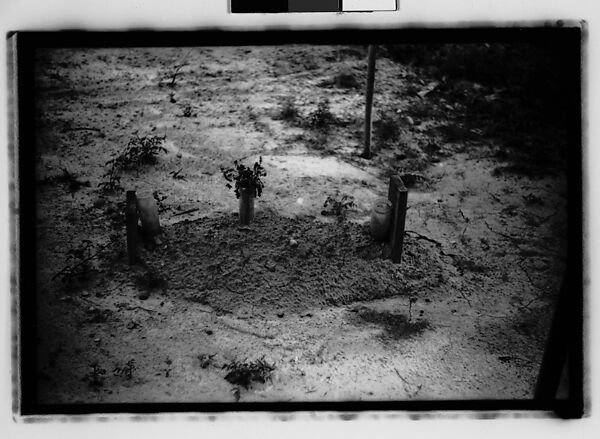 [Thirty-Five 35mm Film Frames on Uncut Roll: Graves and Gravestones, Alabama], Walker Evans (American, St. Louis, Missouri 1903–1975 New Haven, Connecticut), Film negative