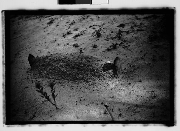 [Thirty-Five 35mm Film Frames on Uncut Roll: Graves and Gravestones, Alabama], Walker Evans (American, St. Louis, Missouri 1903–1975 New Haven, Connecticut), Film negative